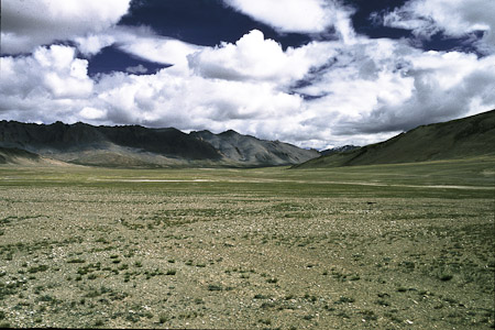 Südl. More Plain, Wüstensteppe, 1995