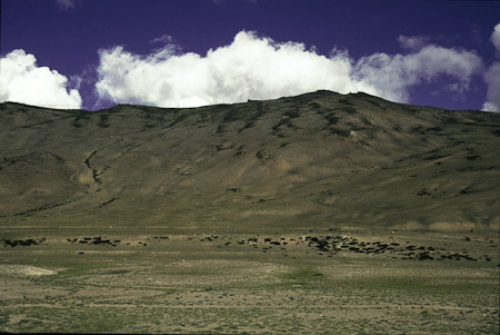 Tso Kar 3 Untersuchungsflächen, 1995